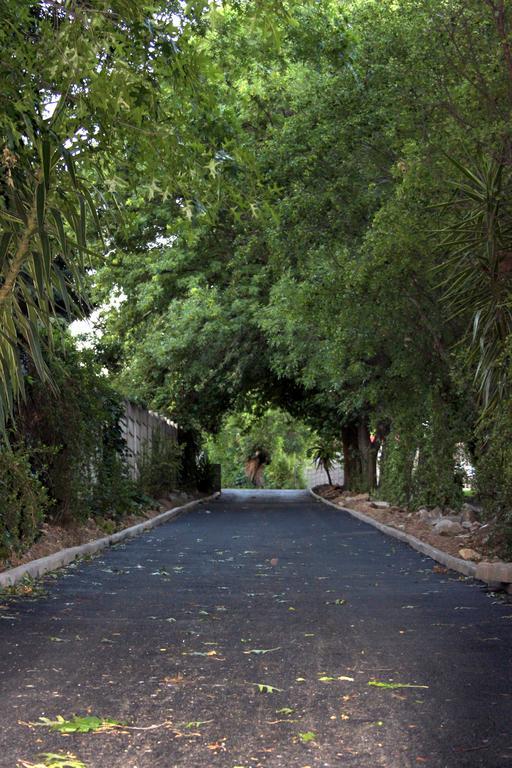Vanilla Guesthouse جوهانسبورغ المظهر الخارجي الصورة